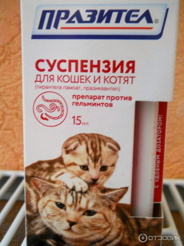 Празител для кошек суспензия
