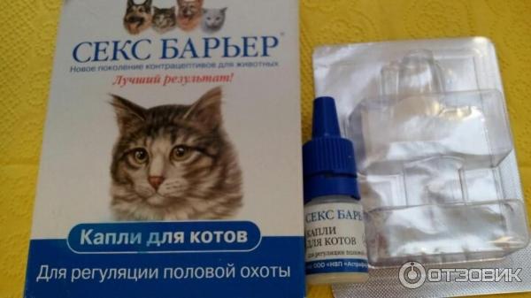 Где Купить Капли Для Кошек От Гуляния