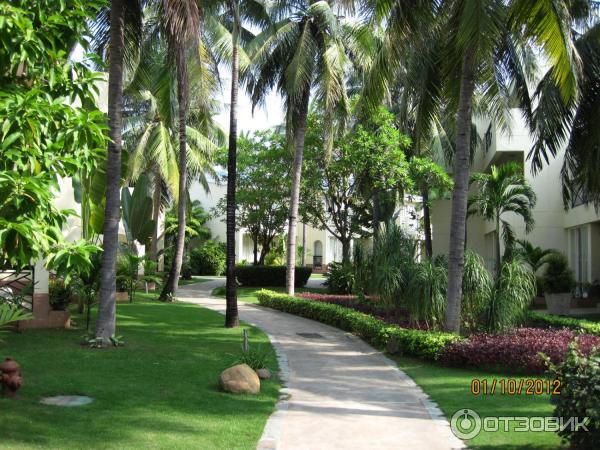 Отель Palm Beach Resort & Spa 5* (Китай, Санья) фото