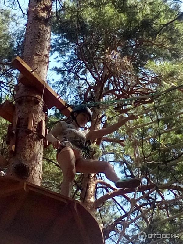 Сосновый угол тамбов