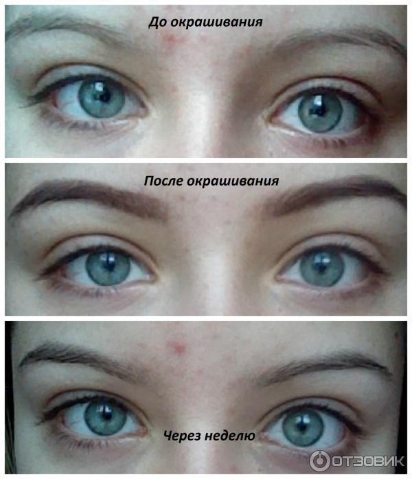 Как выглядят брови после окрашивания Отзыв о Биотатуаж бровей хной Brow Henna Не стоит своих денег
