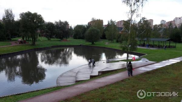 Парки В Долгопрудном Фото