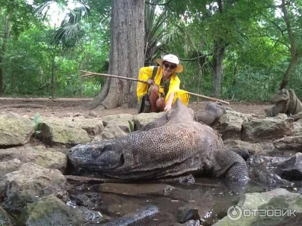 Остров Комодо и Ринча фото