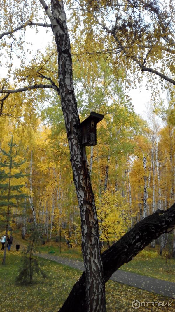 Санаторий Юбилейный - курорт Банное (Россия, Магнитогорск) фото