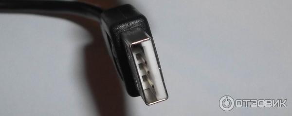 Вилка USB А male