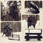 Санаторий "Сибиряк" (Россия, Бердск) фото