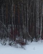 Санаторий "Сибиряк" (Россия, Бердск) фото