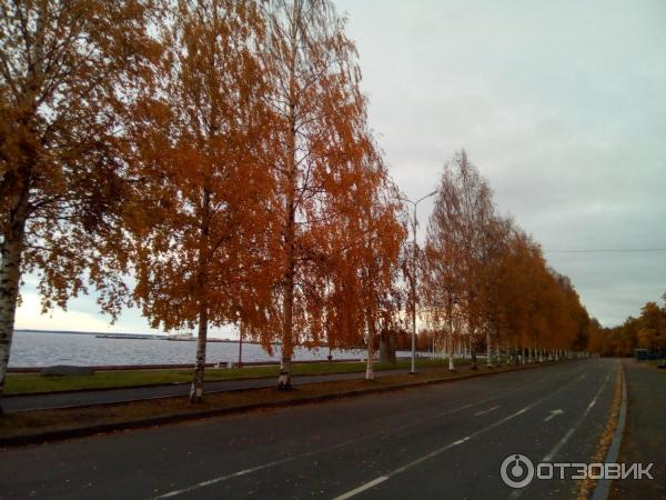 Набережная Онежского озера (Россия, Петрозаводск) фото