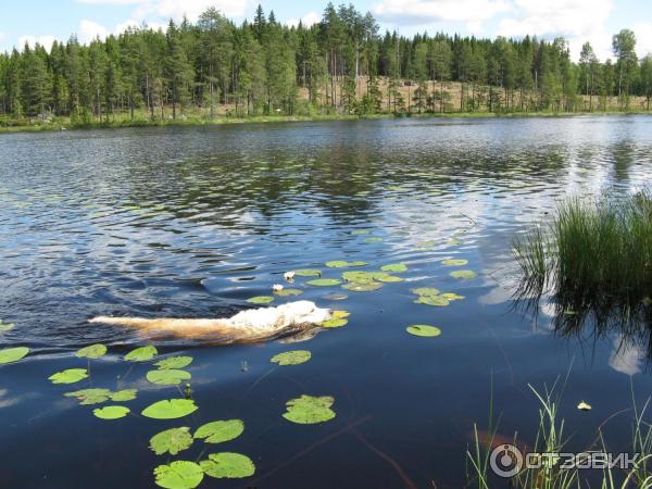 Кемпинг Flateland Camping (Норвегия, Валле) фото