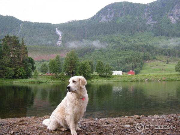 Кемпинг Flateland Camping (Норвегия, Валле) фото