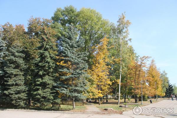 Парк бородино курск фото