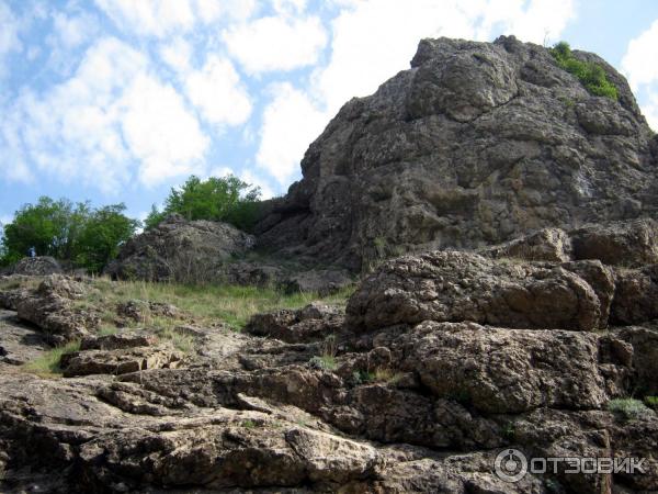 Экскурсия в Зеленогорье (Россия, Крым) фото