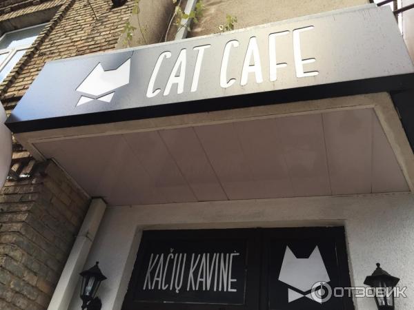 Котокафе Cat Cafe (Литва, Вильнюс) фото