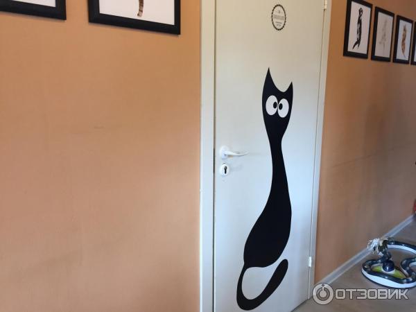 Котокафе Cat Cafe (Литва, Вильнюс) фото