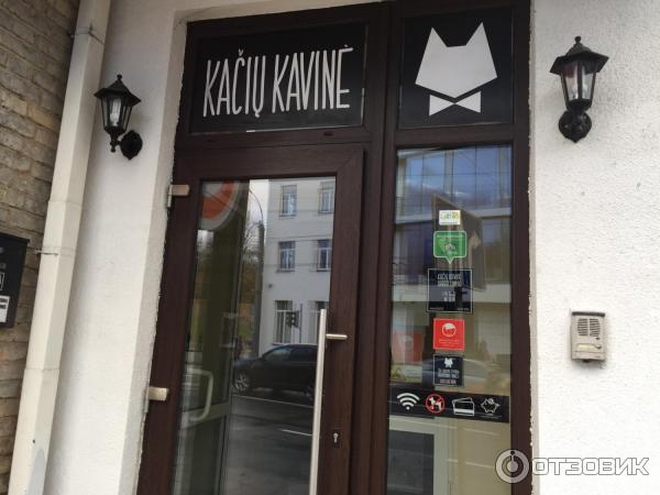 Котокафе Cat Cafe (Литва, Вильнюс) фото