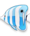 FisherOnline
