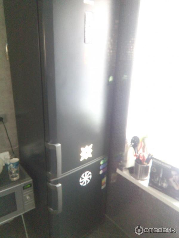 Холодильник Beko RCNK355E21A фото