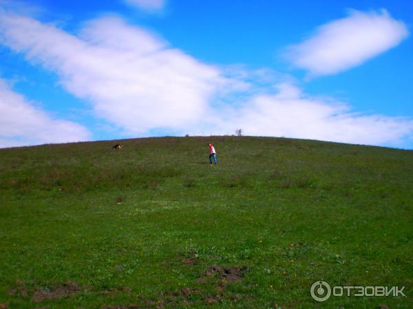 Отдых на Голубых Озерах в пос. Олешня (Украина, Черниговская область) фото