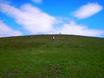 Отдых на Голубых Озерах в пос. Олешня (Черниговская область) фото