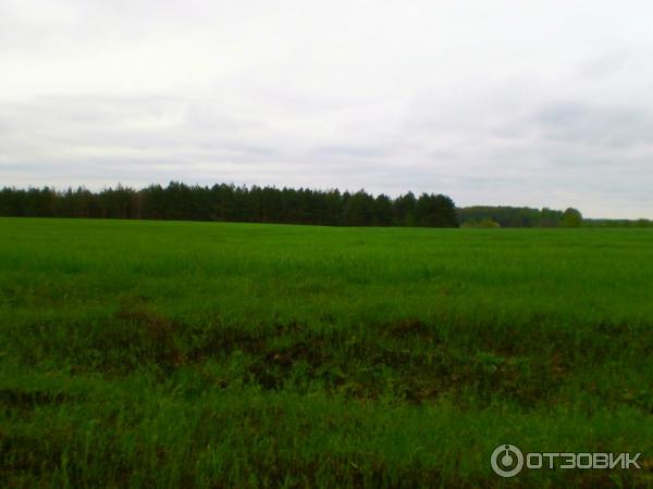 Отдых на Голубых Озерах в пос. Олешня (Украина, Черниговская область) фото