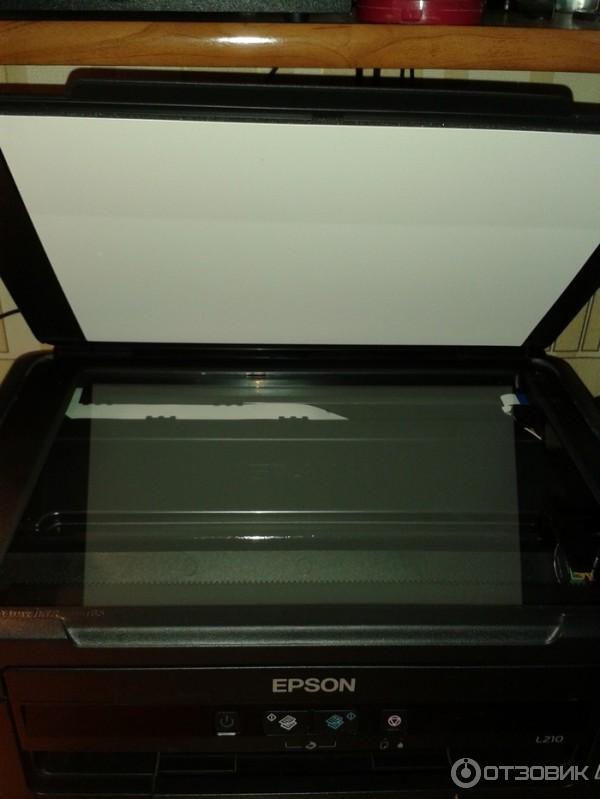 Струйное МФУ Epson L210 фото