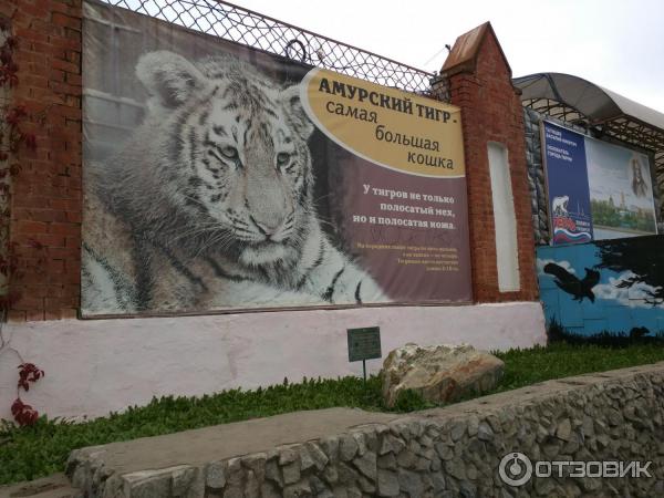 Пермский зоопарк монастырская ул 10 пермь фото Отзыв о Пермский Зоопарк (Россия, Пермь) Много разных зверюшек в одном месте!