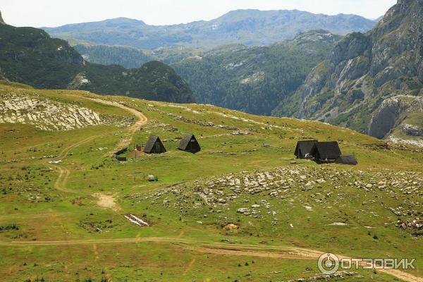 Национальный парк Дурмитор (Черногория) фото