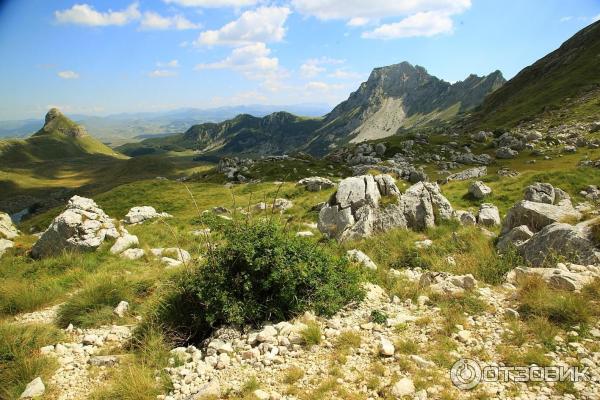 Национальный парк Дурмитор (Черногория) фото