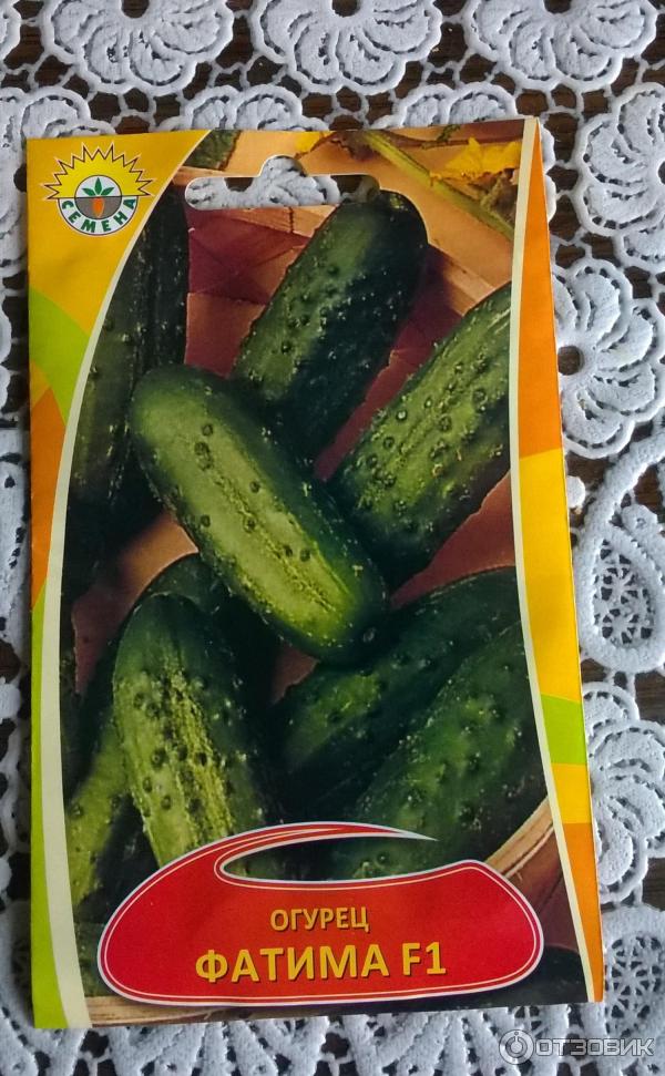 Огурцы. Сорта адаптированные для Приморья (3) - YouTube