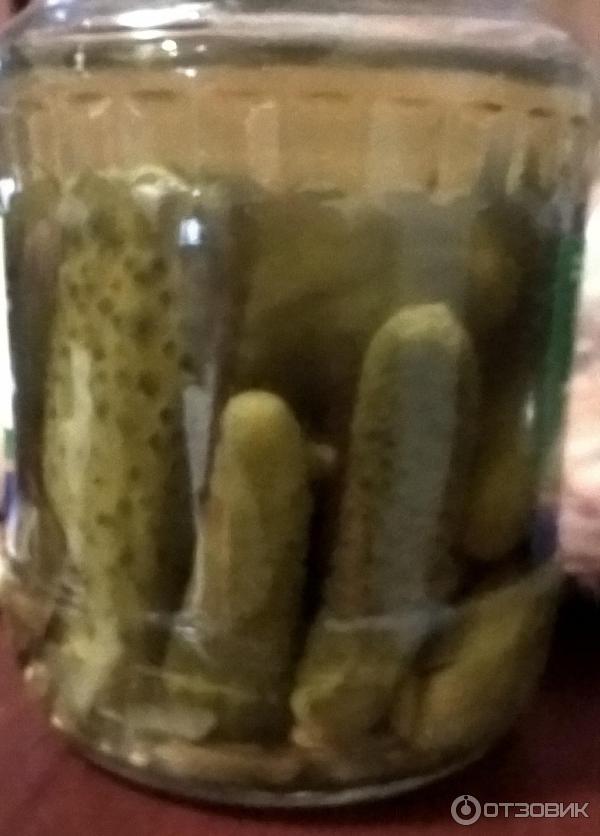 Корнишоны Дядя Ваня По-берлински