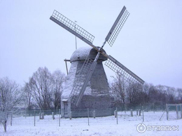 Музей Витославицы (Россия, Новгородская область) фото