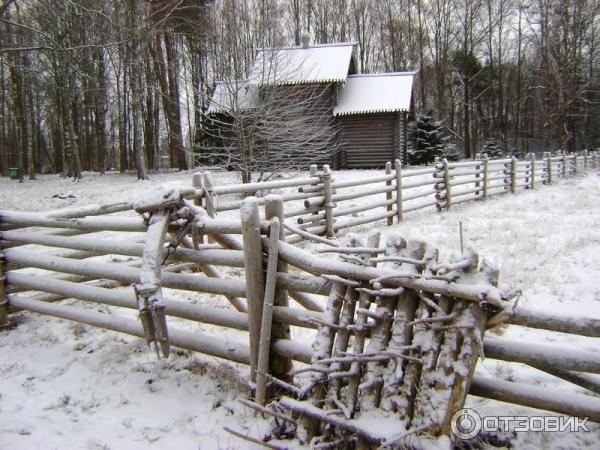 Музей Витославицы (Россия, Новгородская область) фото