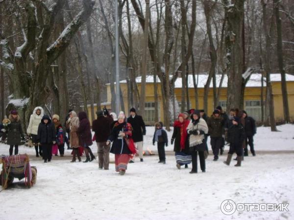 Музей Витославицы (Россия, Новгородская область) фото