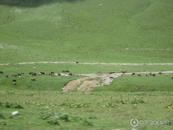 Экскурсия по военно-грузинской дороге (Грузия, Мцхета-Мтианети) фото