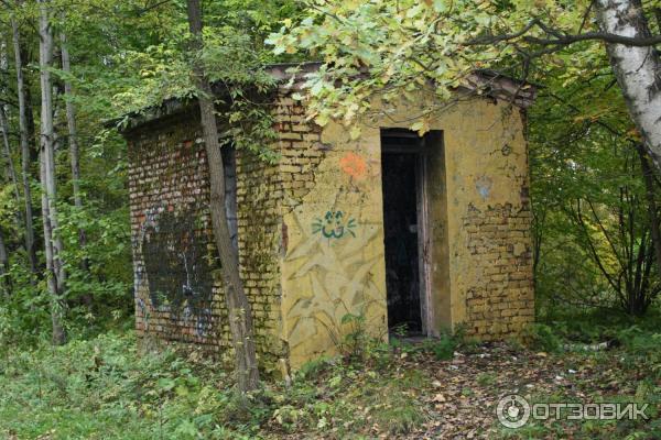 Национальный парк Лосиный Остров (Россия, Москва) фото