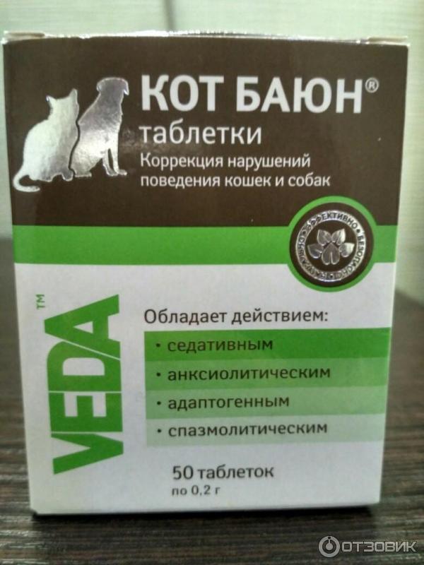 Снотворное для кошек