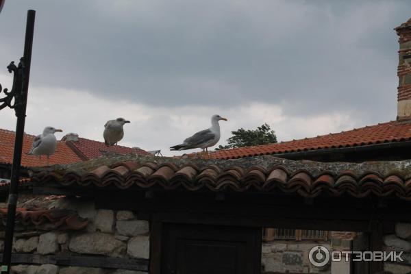 Экскурсия Старый Несебр (Болгария, Бургасская область) фото