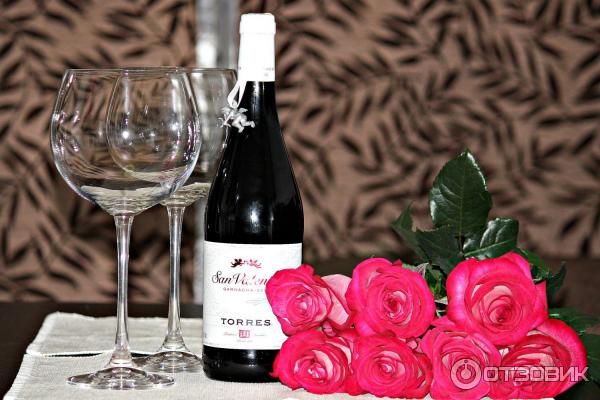 Отзыв о Вино красное сухое Torres "San Valentin" Garnacha | Классика ...