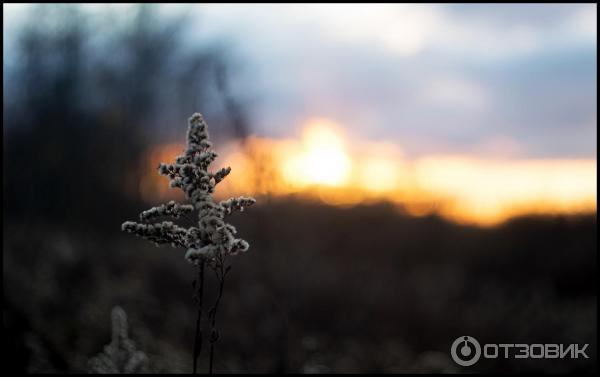 Объектив Гелиос-81Н 50 mm f/ 2 фото