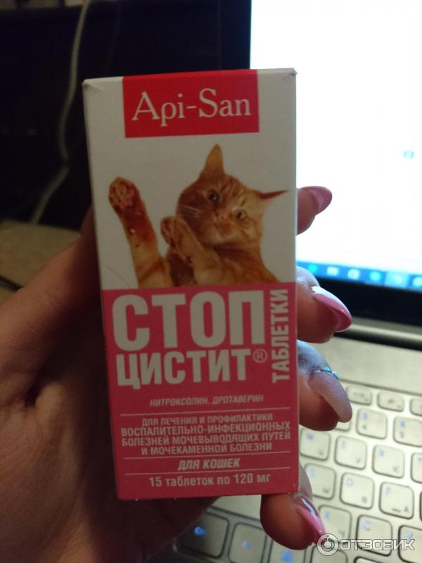 Отзыв о Таблетки для кошек Api-San "Стоп-цистит" | Хорошее средство