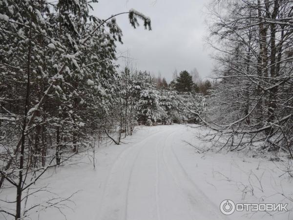 форт окончание прогулки