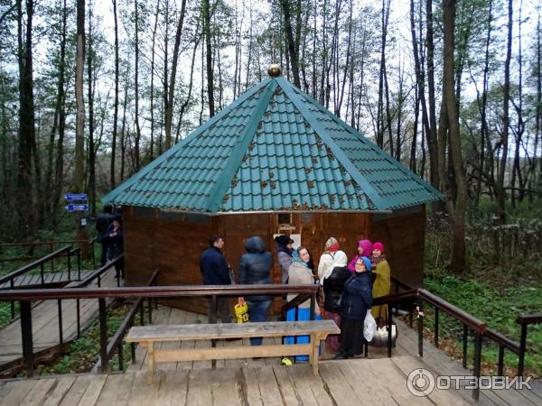 Монастырь Шамордино (Россия, Калужская область) фото