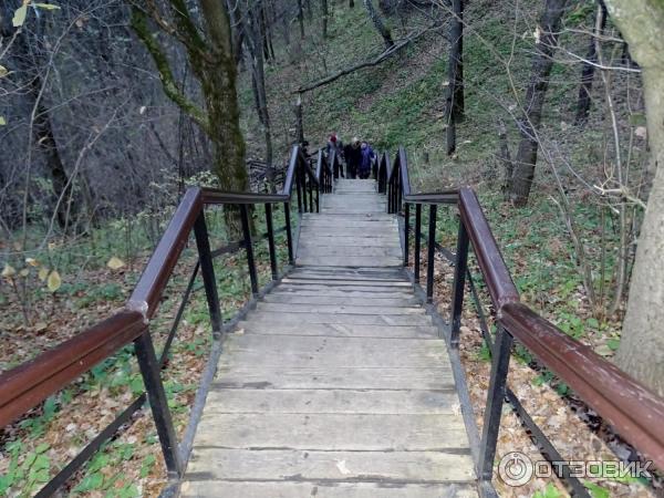 Монастырь Шамордино (Россия, Калужская область) фото