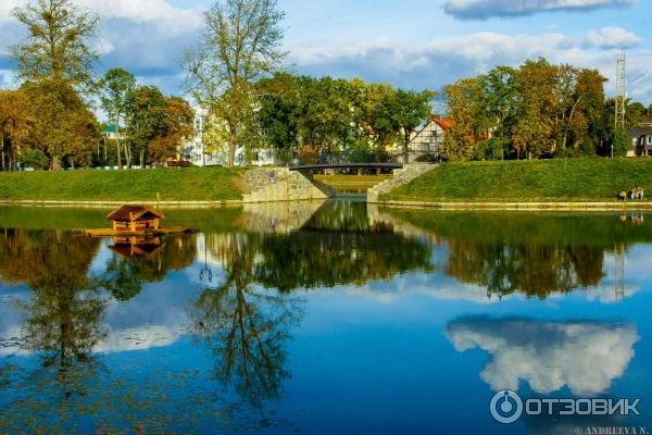 Озеро поплавок просп мира 93 фото Отзыв о Пруд "Поплавок" (Россия, Калининград) Тихое и уютное место для отдыха вс