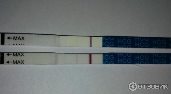 Тест на беременность Evitest One - купить с бесплатной доставкой по Украине | PARFUMS
