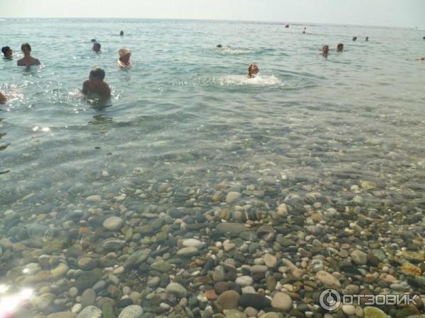 Отзыв о Санаторий "Аврора" (Россия, Аше) Отличный отдых,чудесная анимация для де