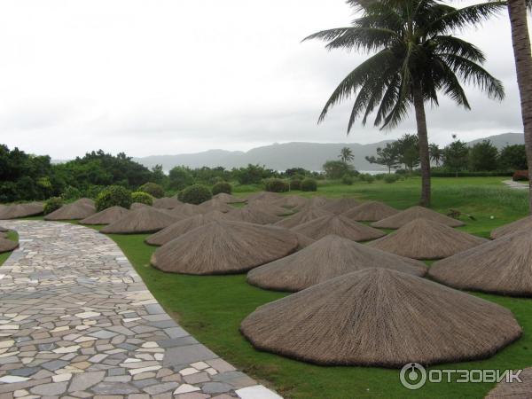 Отель Cactus Resort Sanya Hotel 4* (Китай, Санья) фото