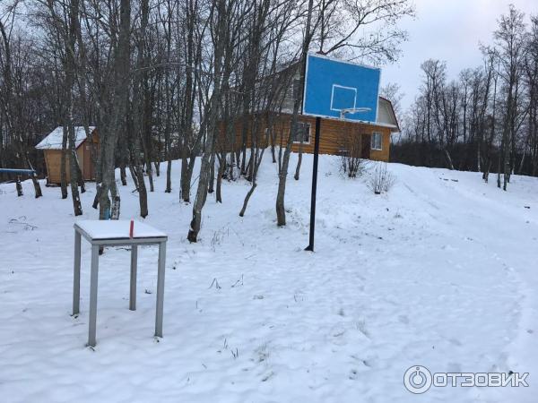 База отдыха Лесная гавань (Россия, Псковская область) фото
