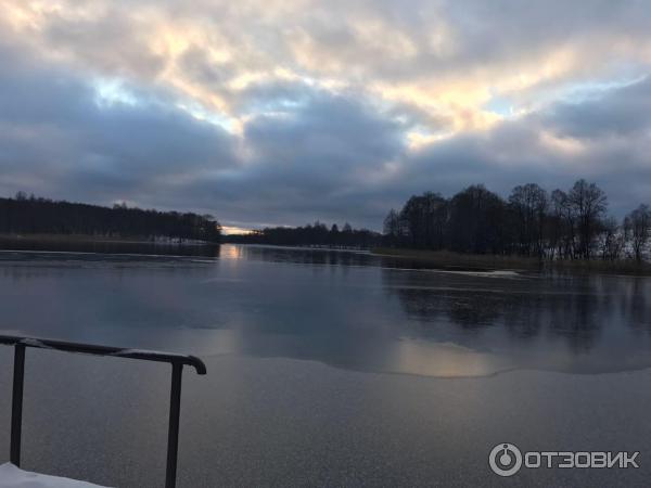 База отдыха Лесная гавань (Россия, Псковская область) фото