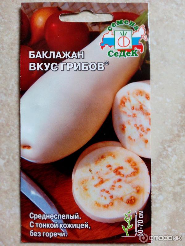 Баклажан Вкус Грибов Описание Сорта Фото